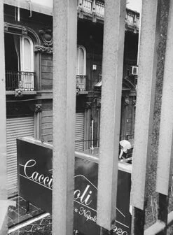 Caccioppoli Donegal Gray Tweed Pants -Elite Attire Store 4 d8dfc374 10c2 4931 96b1 7f97be29ee9e