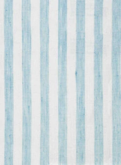 Dublin Blue Stripe Linen Shirt -Elite Attire Store dublinwidebluestripelinenshirtlook 2