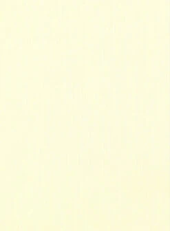 Giza Yellow Cotton Shirt -Elite Attire Store gizayellowcottonshirtlook 2