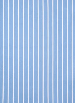 Italian Blue Class Stripe Shirt -Elite Attire Store italianblueclassstripeshirtlook 2