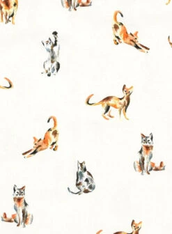 Front Page -Elite Attire Store italiancottonlomarpantslook 1