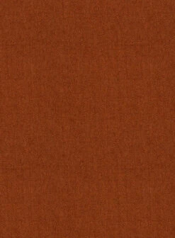 Italian Wool Cashmere Ginger Orange Suit 10 Italian Wool Cashmere Ginger Orange Suit -Elite Attire Store italiwlcashmgingorangesuitlook 3