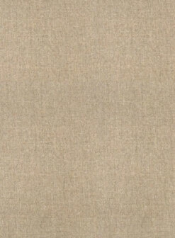 Naples Gondola Beige Tweed Pants -Elite Attire Store naplesgondolabeigetweedpantlook 2