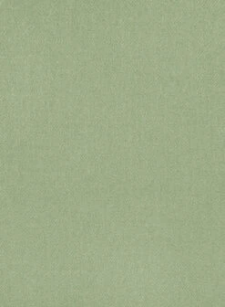 Naples Light Green Tweed Pants -Elite Attire Store napleslightgrntwdpantslook 2