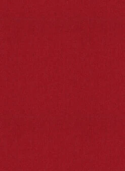 Naples Red Tweed Pants -Elite Attire Store naplesredtwdpantlk 2