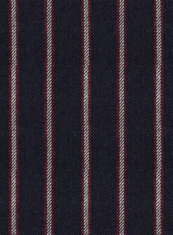 Noble Assunta Blue Stripe Cotton Silk Linen Pants -Elite Attire Store nobleassuntabluestripepantslook 2