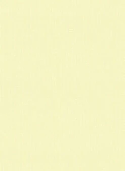 Yellow Herringbone Cotton Shirt -Elite Attire Store yellowherringbonecottonshirtlook 2 510ebd11 8a60 40d5 a535 fea68f60e5a4